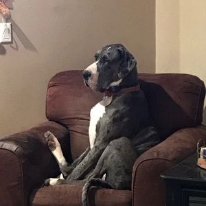 Meet your Posher, Karrin